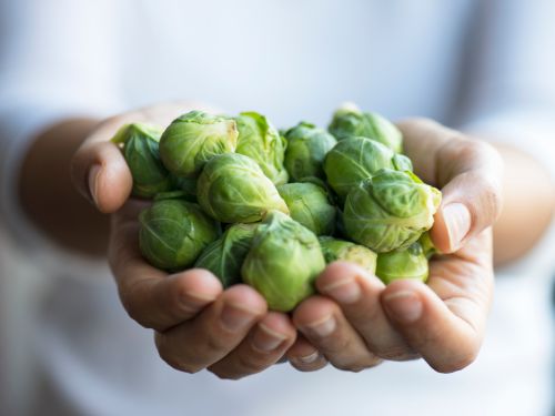 Rosenkohl: Grünes Nährstoff-Kraftpaket